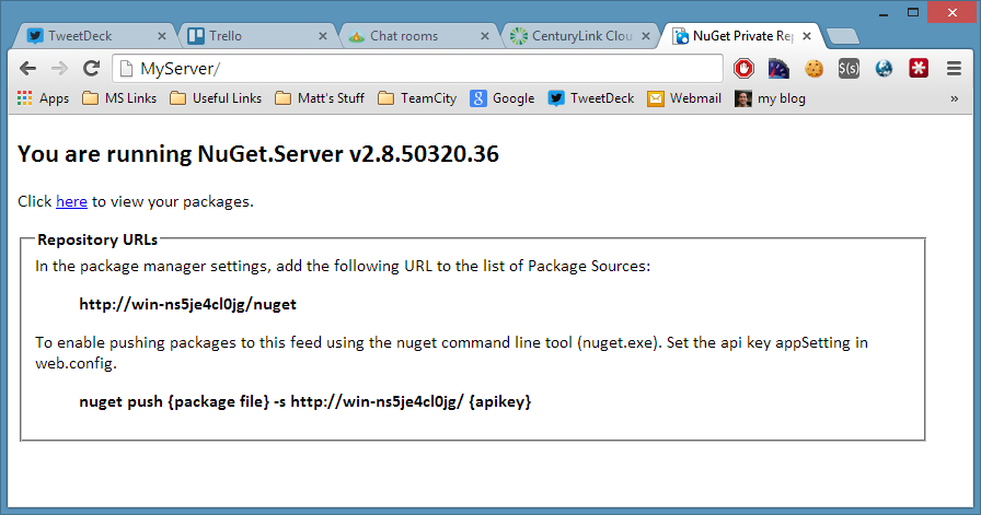 Running instance of NuGet.Server